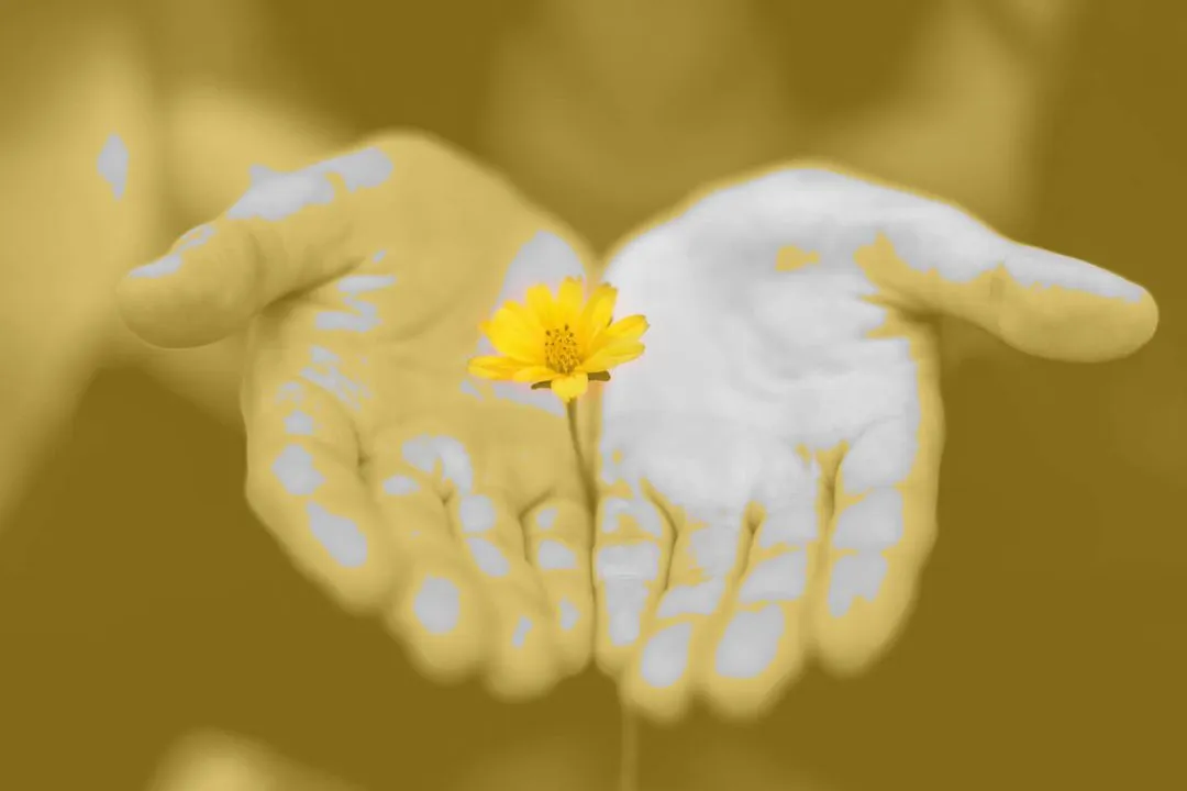 Open hands gently holding a single yellow flower, symbolizing generosity, giving, and delicate care.